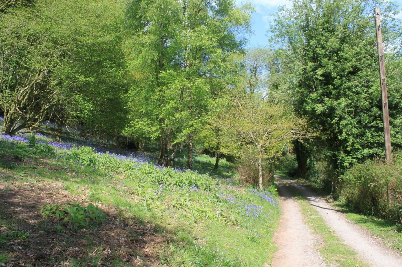Church Hill Farm Monmouth Buitenkant foto