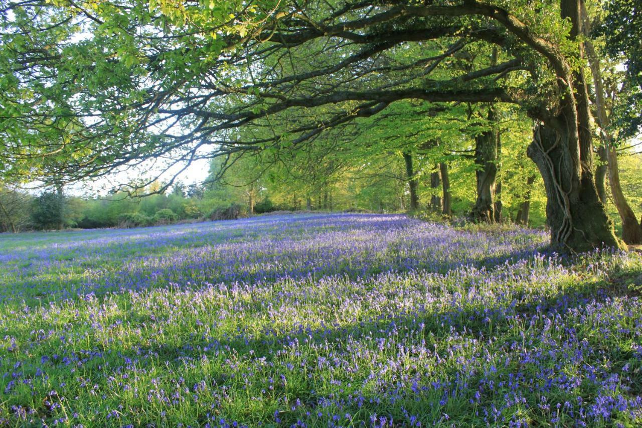 Church Hill Farm Monmouth Buitenkant foto
